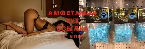 молекула духа Инсар
