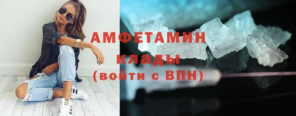 крисы Инта