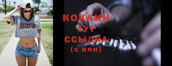 молекула духа Инсар