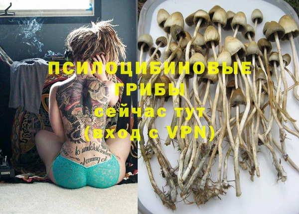 тгк Зеленодольск