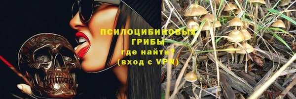 молекула духа Инсар
