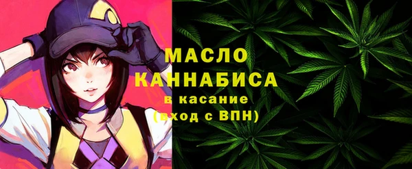 молекула духа Инсар