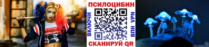 Галлюциногенные грибы Psilocybine cubensis  Ленск 
